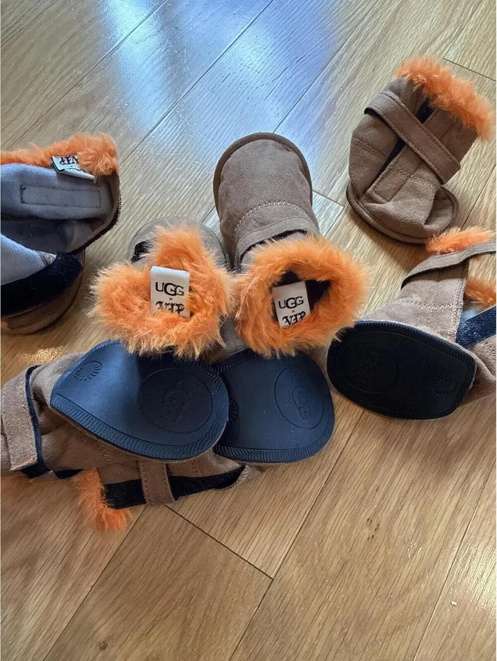 UGG Dog Boots with Orange Fur Trim